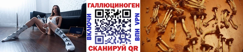 Псилоцибиновые грибы Psilocybine cubensis Соль-Илецк